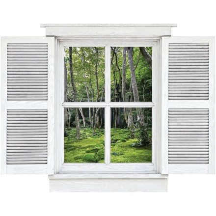 Forest View