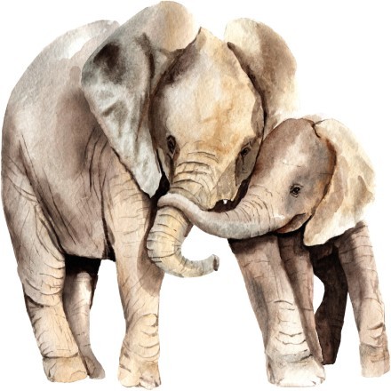 Ελέφαντας & Ελεφαντάκι