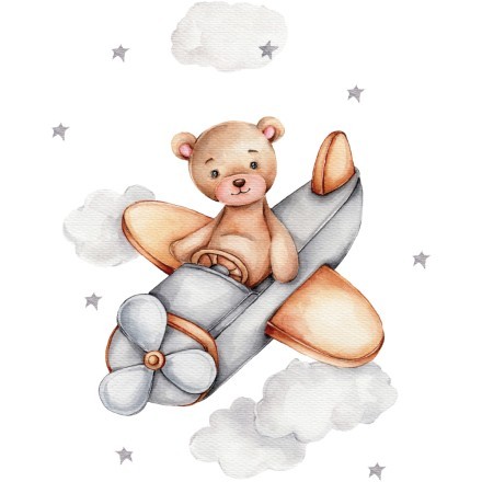 Pilot Bear