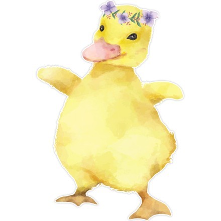 Ducky