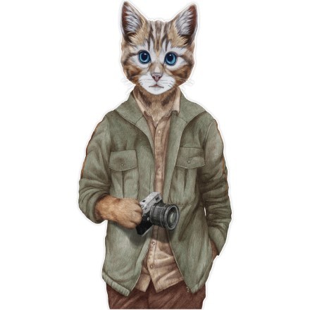 Camera Cat