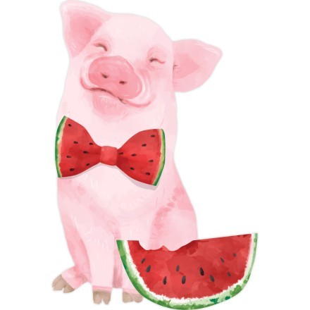 Watermelon Piggy