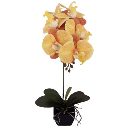 ORCHIDEA 1 ΦΥΤΟ ΣΕ ΓΛΑΣΤΡΑ ΚΙΤΡΙΝΟ/ΠΟΡΤΟΚΑΛΙ 30x11xΥ63cm