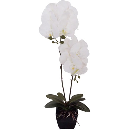 ORCHIDEA 2 ΤΕΧΝΗΤΟ ΛΟΥΛΟΥΔΙ ΥΦΑΣΜΑ ΠΛΑΣΤΙΚΟ ΛΕΥΚΟ 30x14xH82cm