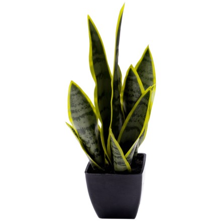 SANSEVIERIA ΤΕΧΝΗΤΟ ΦΥΤΟ ΣΕ ΓΛΑΣΤΡΑ ΠΡΑΣΙΝΟ 15x12xY32cm