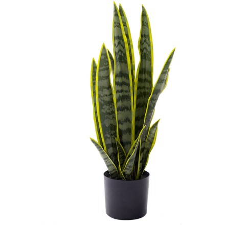SANSEVIERIA ΤΕΧΝΗΤΟ ΦΥΤΟ ΣΕ ΓΛΑΣΤΡΑ ΠΡΑΣΙΝΟ 20x16xY57cm