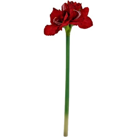 ΤΕΧΝΗΤΟ ΛΟΥΛΟΥΔΙ AMARYLLIS ΚΟΚΚΙΝΟ Υ75cm Έπιπλα & Διακοσμητικά