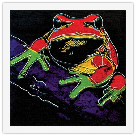 Frog