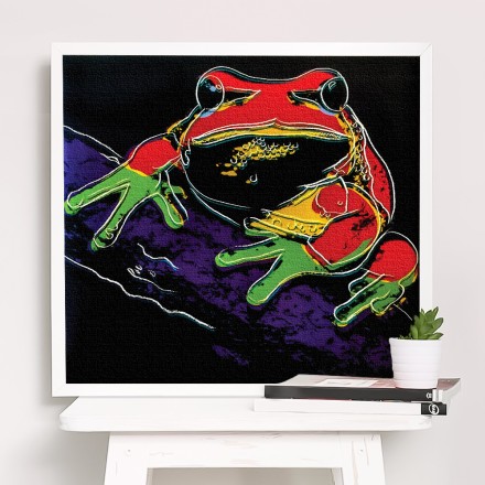 Frog Πίνακας σε Καμβά