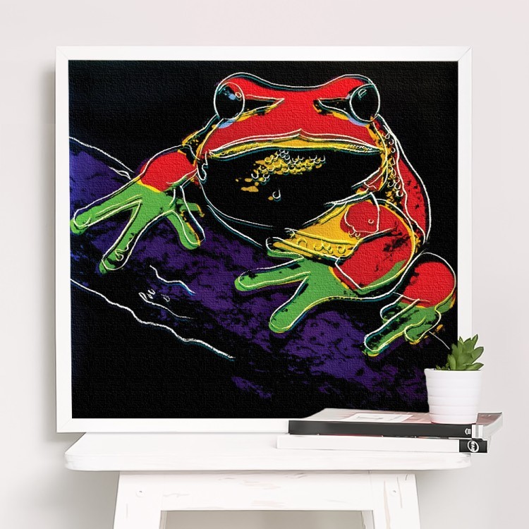 Πίνακας σε Καμβά Frog