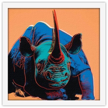 Black Rhinoceros, from Endangered Species