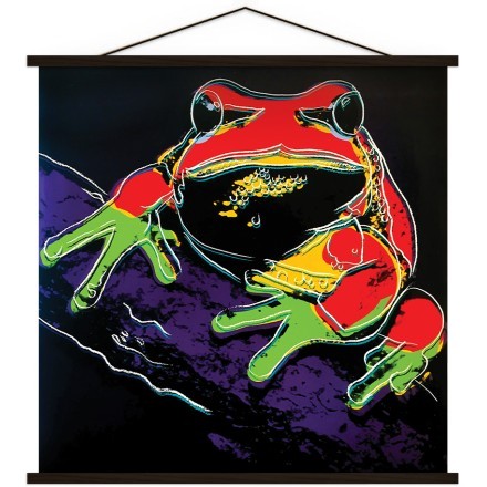 Tree Frog
