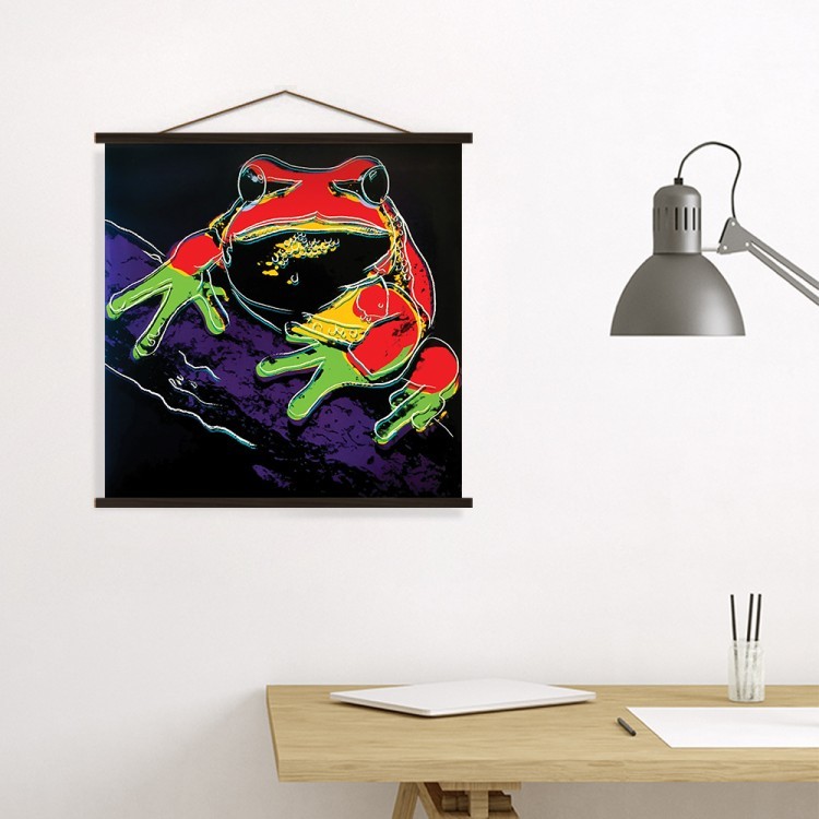 Μαγνητικός Πίνακας Frog