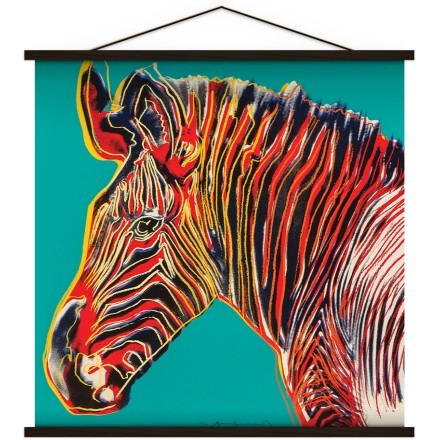 Zebra (1)