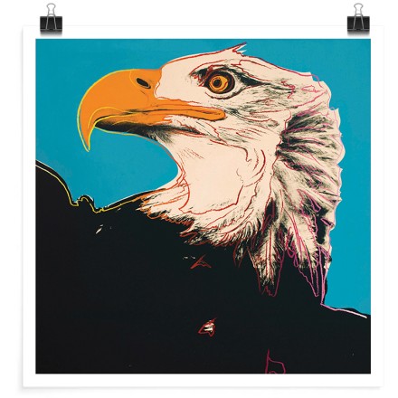 Bald Eagle Πόστερ
