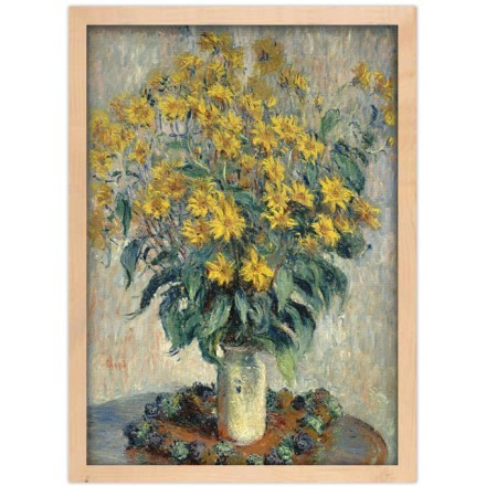 Jerusalem Artichoke Flowers