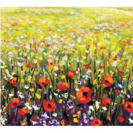 Poppies