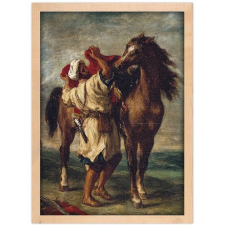 Arab saddling his horse