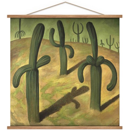 Landscape with cacti