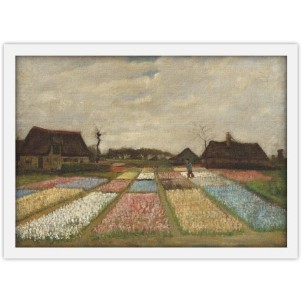 Bulb Fields, 1883