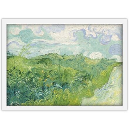 Green Wheat Fields