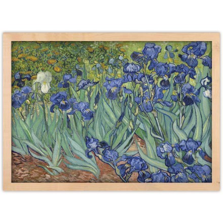 Irises Oil Paint