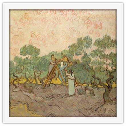 Women Picking Olives Oil on canvas