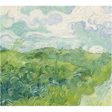 Πεδία Πράσινου Σιταριού, Auvers