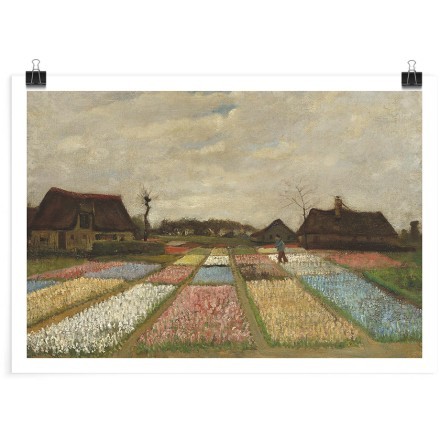Bulb Fields Oil Paint Πόστερ