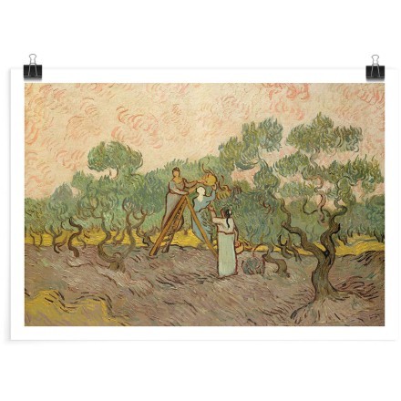 Women Picking Olives (1) Πόστερ