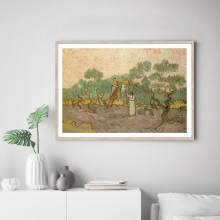 Women Picking Olives (1)