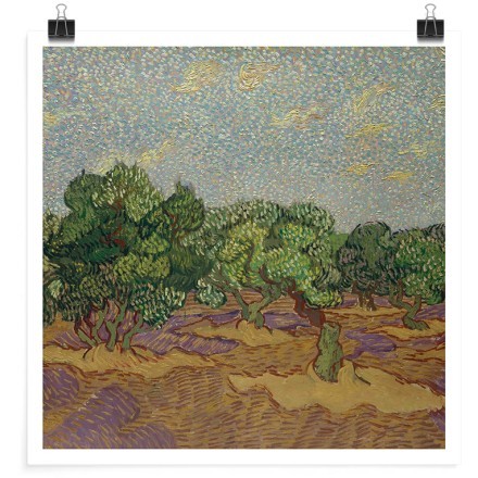 Olive Trees Oil on canvas Πόστερ