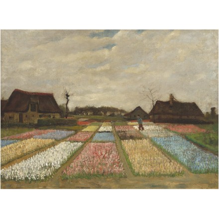 Bulb Fields