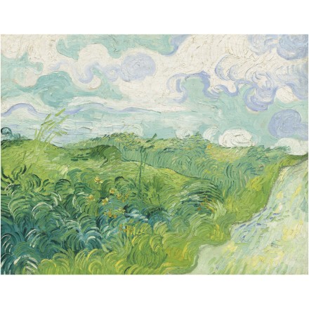 Green Wheat Fields, Auvers, 1890