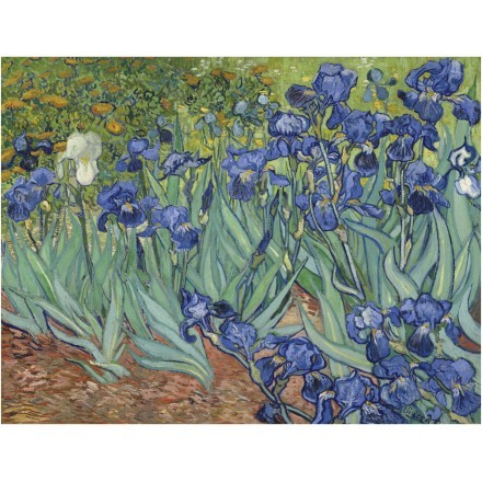 Irises, 1889