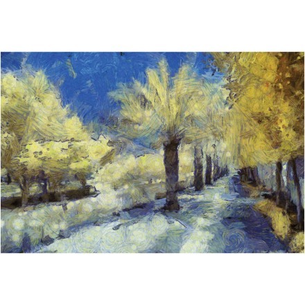 Trees in a park (1)