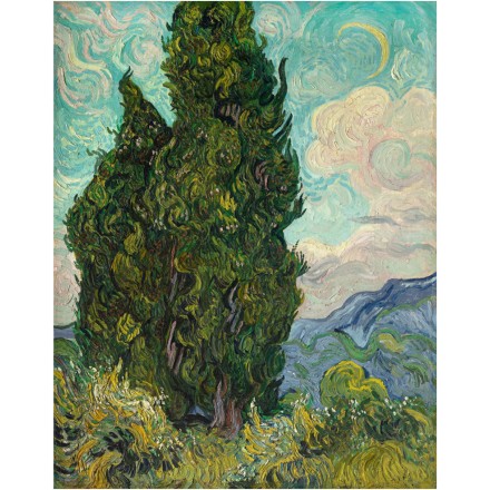 Champ de blé vert avec cyprès