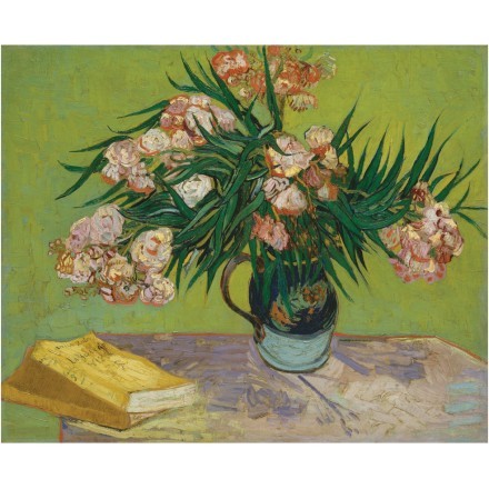 Oleanders