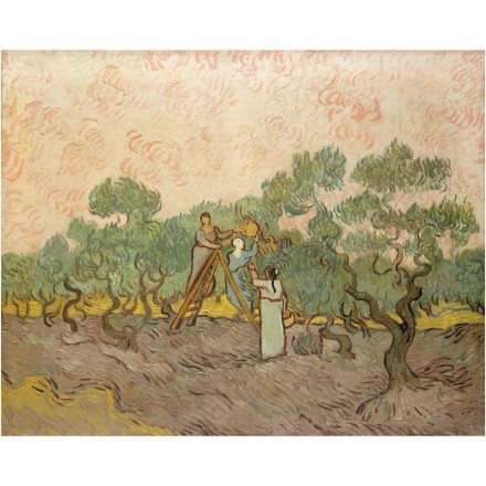 Women Picking Olives