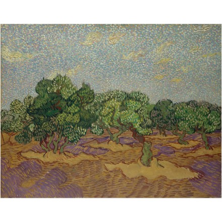 Olive Trees, 1889