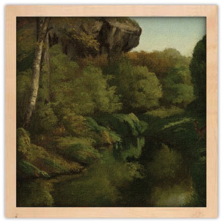 View in the Forest of Fontainebleau