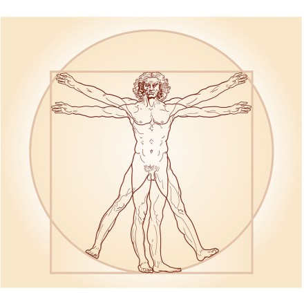 The Vitruvian man