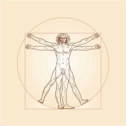 The Vitruvian man, 	1490