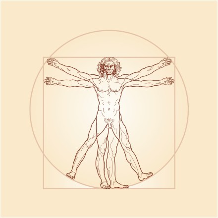 The Vitruvian man