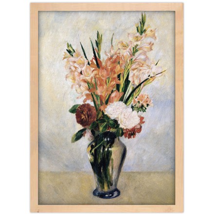 Gladiolus