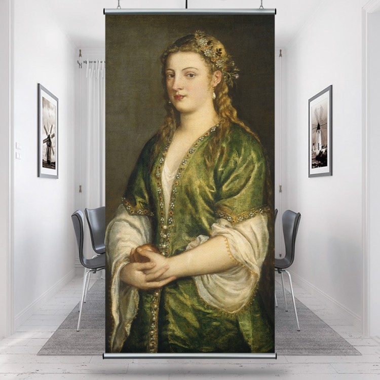 Διαχωριστικό Panel Portrait of a Lady, 1555