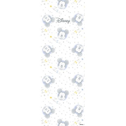Φατσούλα του Mickey