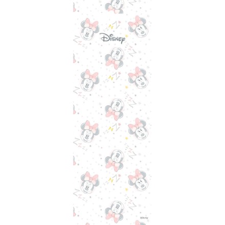 Η φατσούλα της Minnie