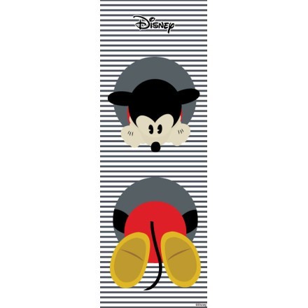 Mickey Mickey!!
