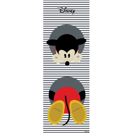Mickey Mickey!!